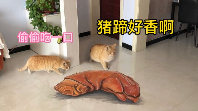 画一个猪蹄子,猫看到会有啥反应呢?