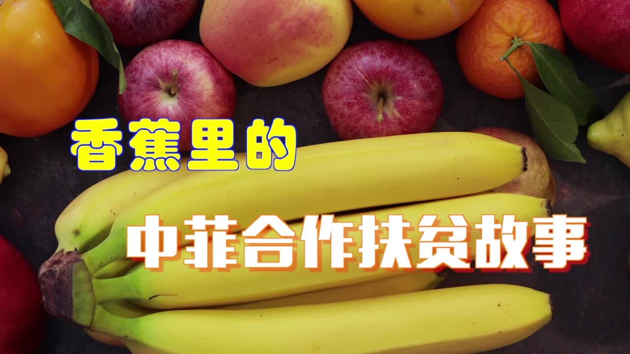 全球连线 | 香蕉里的中菲合作扶贫故事