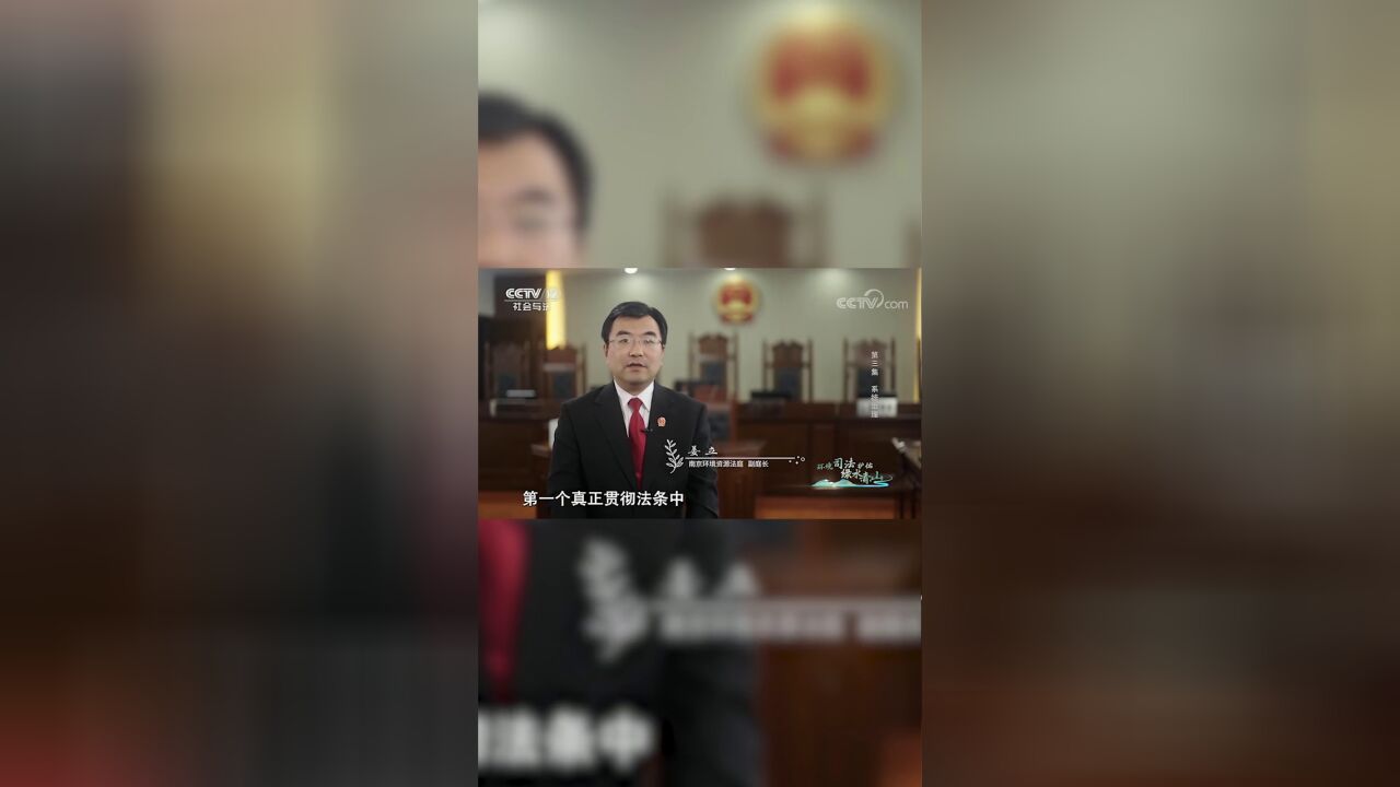 环境司法护佑绿水青山,——系统治理8被告人被捕后:“为一点私利,把自己后半生毁了”