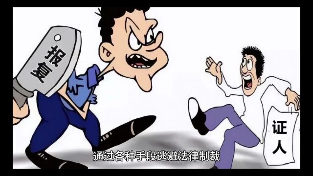 上海立大功!把资产非法转移到国外的人完蛋了!“润人”头子被抓