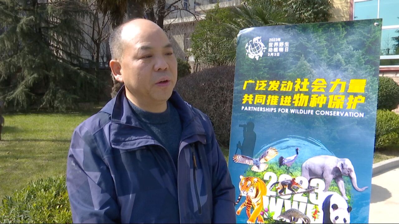 灞桥区歇驾寺村首届农耕文化艺术节精彩纷呈