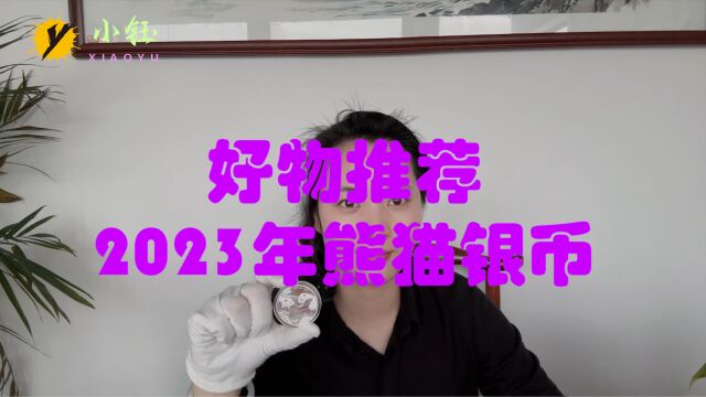 好物推荐,2023年熊猫银币