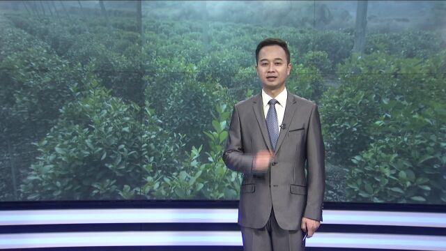 刘万祥:承包荒沟育苗木 “绿色银行”效益佳