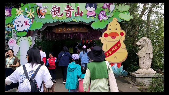 绿色建晖观音山植树之旅