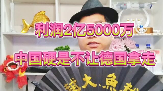 利润2亿5000万!中国硬是不让德国赚走