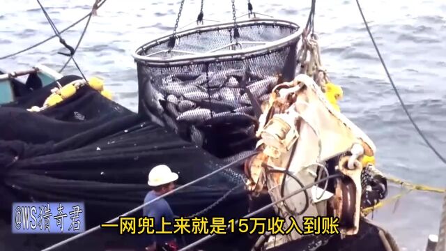 深海大型捕鱼现场,捕渔网比3个足球场还大,1网捞上来就赚720万