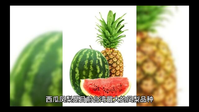 凤梨种植之西瓜凤梨