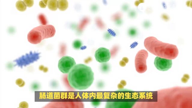 22、肠道菌群:人体健康的重要伙伴(100万亿个微生物组成肠道菌群,它们对人体健康有着重要作用)