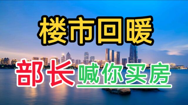 楼市全面利好,为什么越来越多的人放弃买房?房产专家说出真相