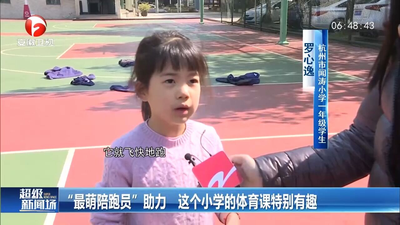 浙江杭州:“最萌陪跑员”助力,这个小学体育课真有趣