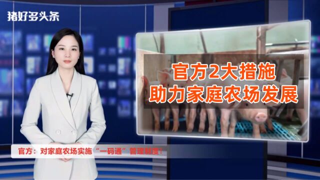 家庭农场管理新制度!官方2大措施助力,养猪人发展迎机遇?