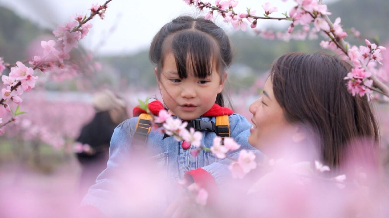 春天的故事丨春游衡东,你手机里一定有桃花的美照吧!