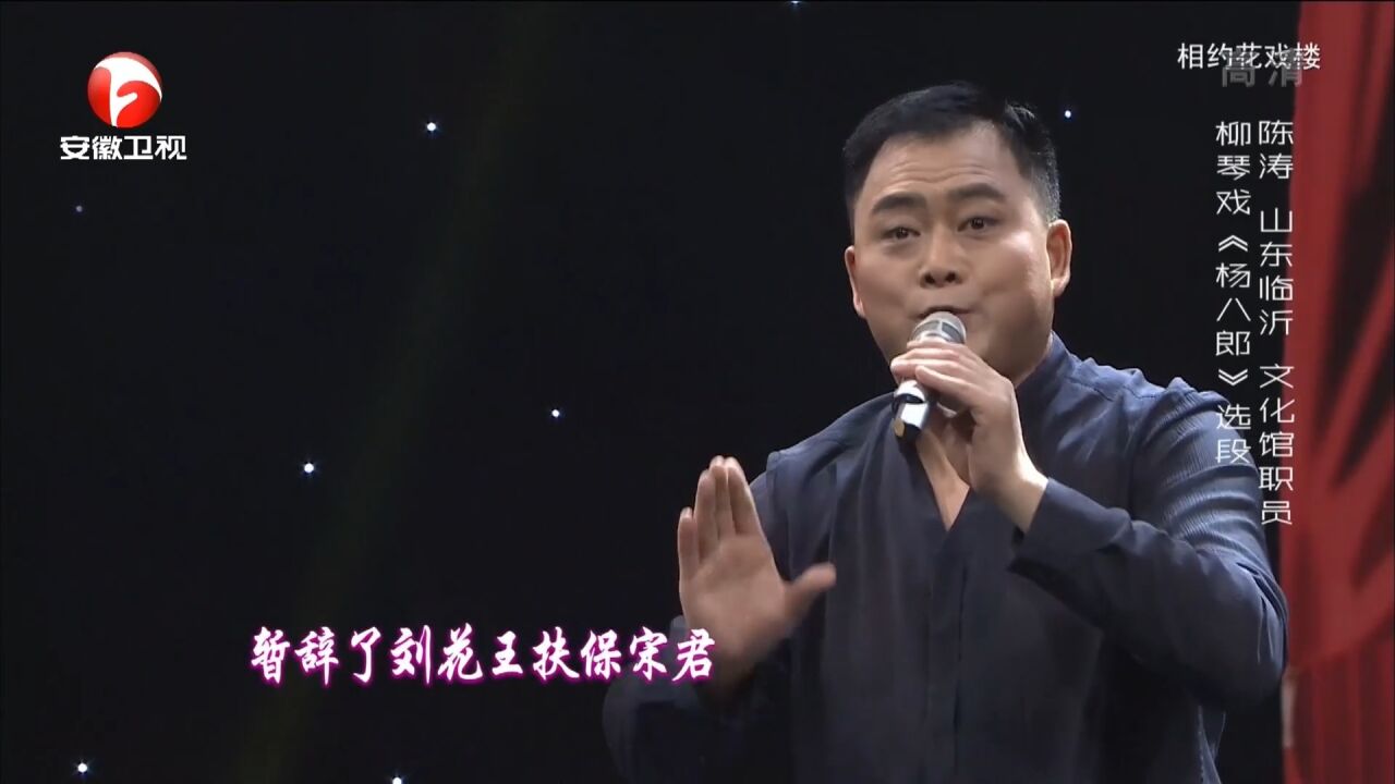 柳琴戏《杨八郎》选段,陈涛句句完美,曲声令人陶醉丨花戏楼