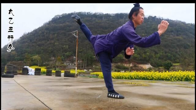 #武当太乙五行拳#传统文化