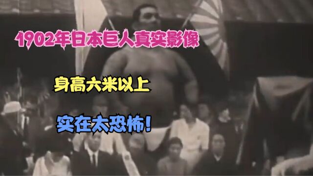 1902年日本巨人真实影像,身高六米以上,实在太恐怖!