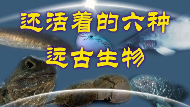 还活着的六种远古生物