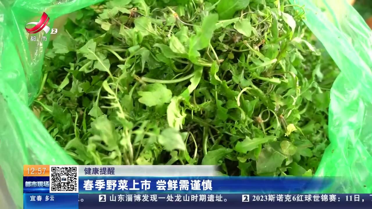 【健康提醒】春季野菜上市 尝鲜需谨慎