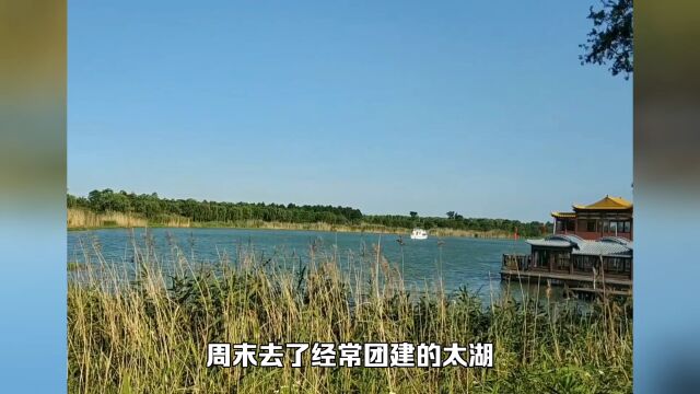 太湖国家湿地公园湖与花之美