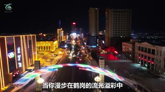 鹤岗迷人的夜景 犹如璀璨明珠