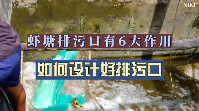 虾塘排污口,有6大作用!但是如何设计好排污口?