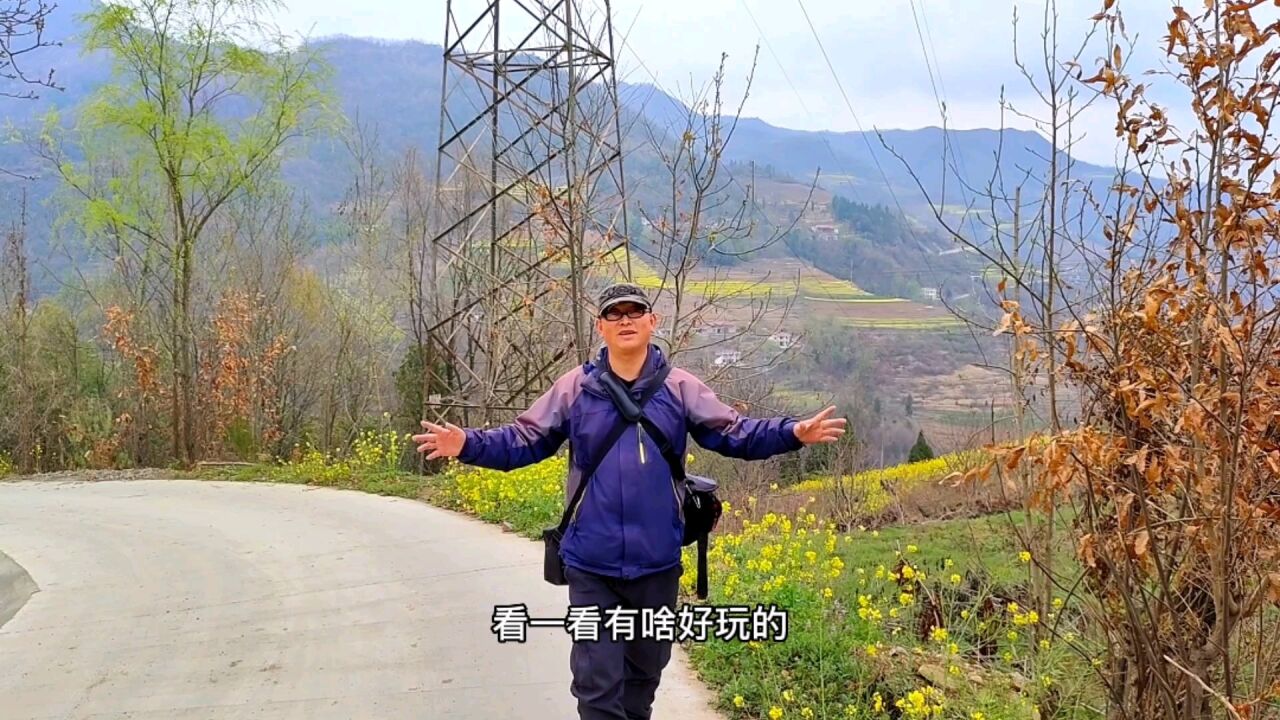 汉中略阳汉府桃源农庄,秦岭山上的世外桃源,包吃包住一天85元