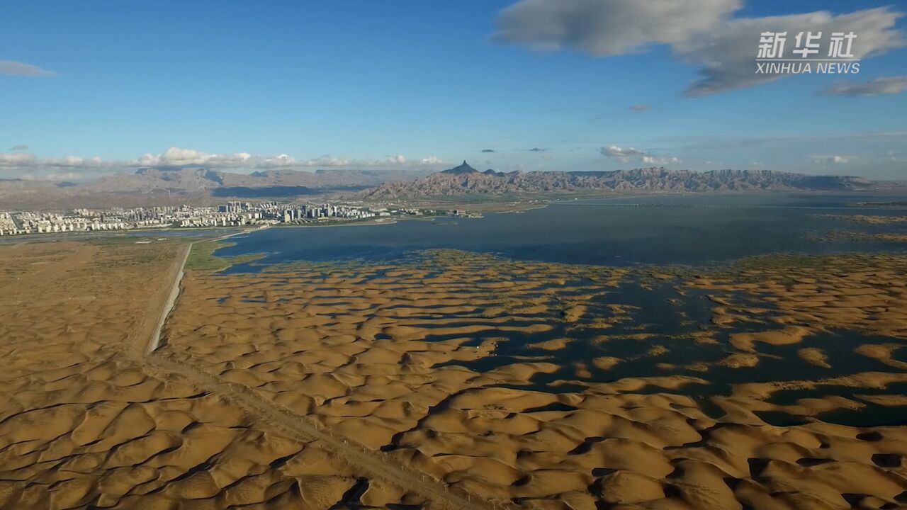 千城百县看中国|内蒙古:沙海山城 醇美乌海