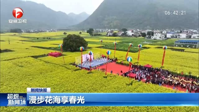 安徽池州:漫步花海享春光,旅游度假好去处