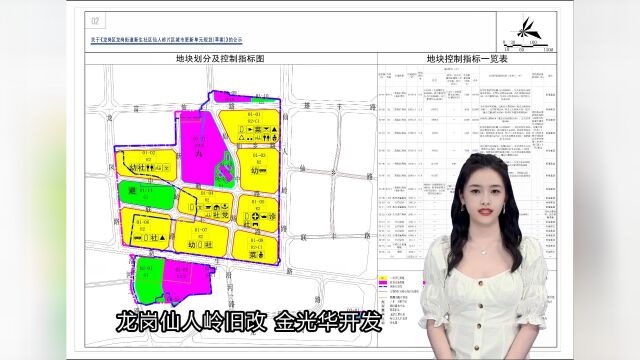 龙岗街道新生社区仙人岭旧改