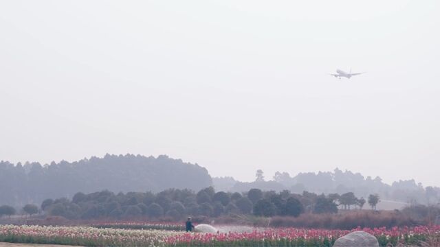 快,空港花田美景“露馅”了!来花田感受这春风送暖~