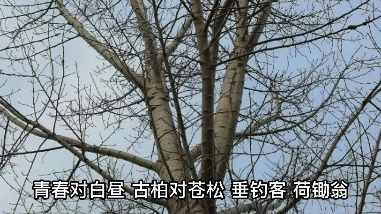 《笠翁对韵》晨对午夏对冬