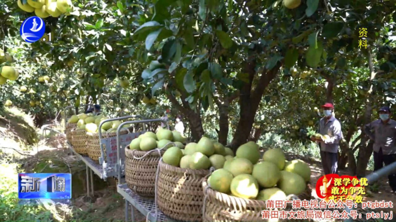 仙游:“柚相邻”共同富裕示范区 共建基层治理新模式