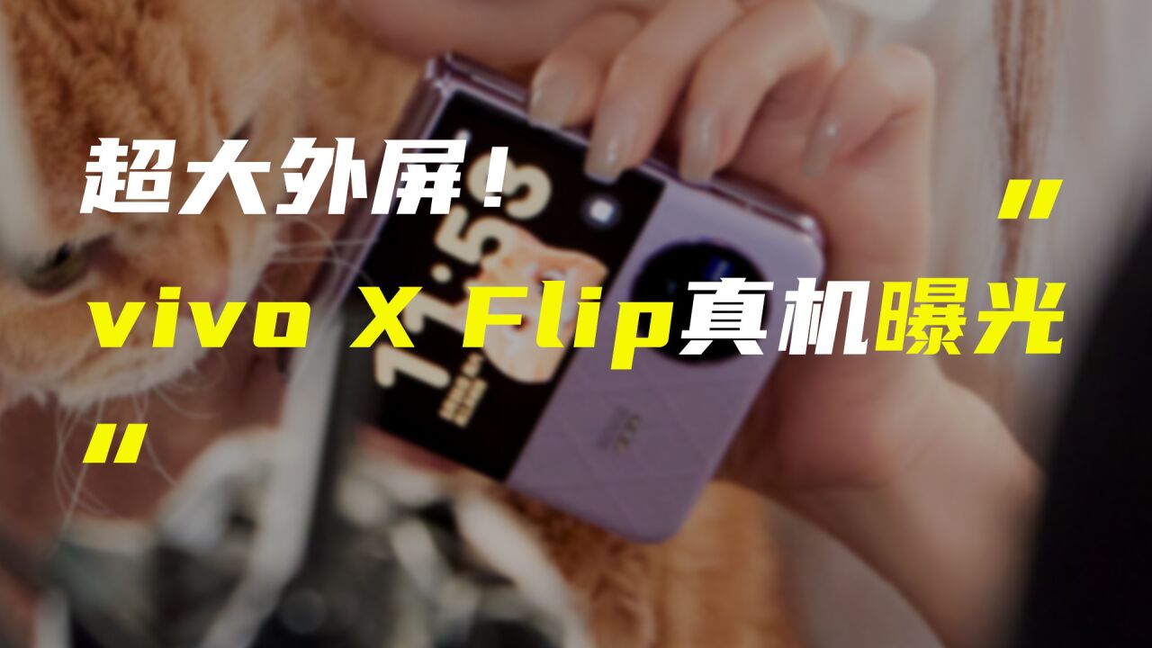 vivo X Flip竖向折叠屏真机曝光;真我11系列证件照公布