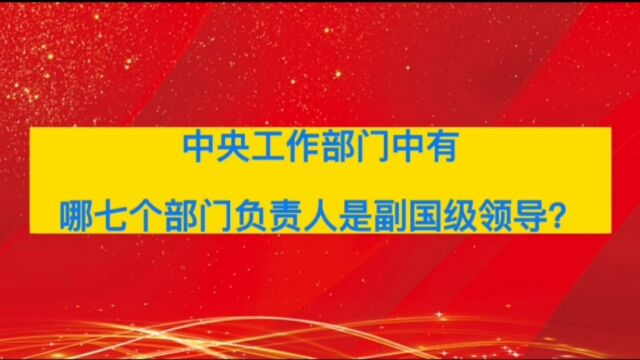 中央工作部门中有哪七个部门负责人是副国级领导?