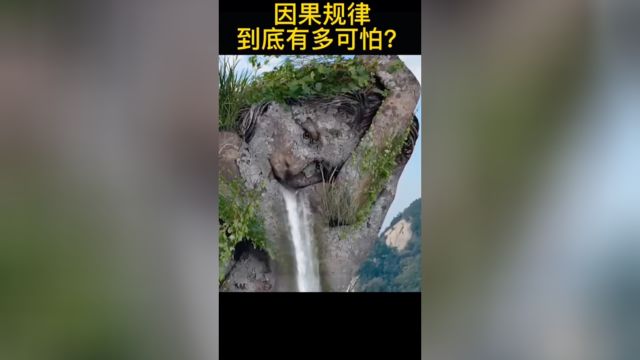 因果究竟有多可怕?