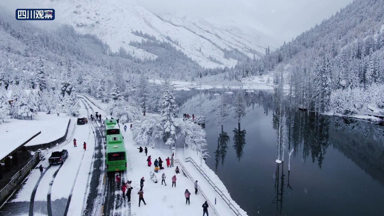 白雪如画 春雪唤醒四姑娘山