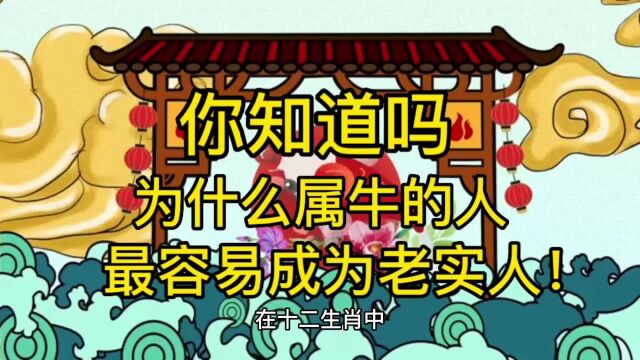 你知道吗?属牛的人为什么最容易成为老实人!