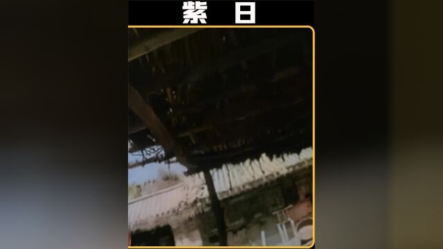 3/3《紫日》抗日巅峰之作