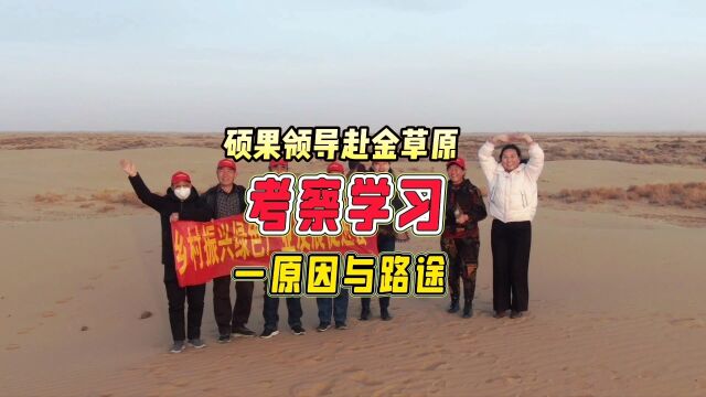 为了让洛川不再挖树毁园,中国硕果网负责人去内蒙古为洛川果农寻找考察质量靠谱的生物有机肥.