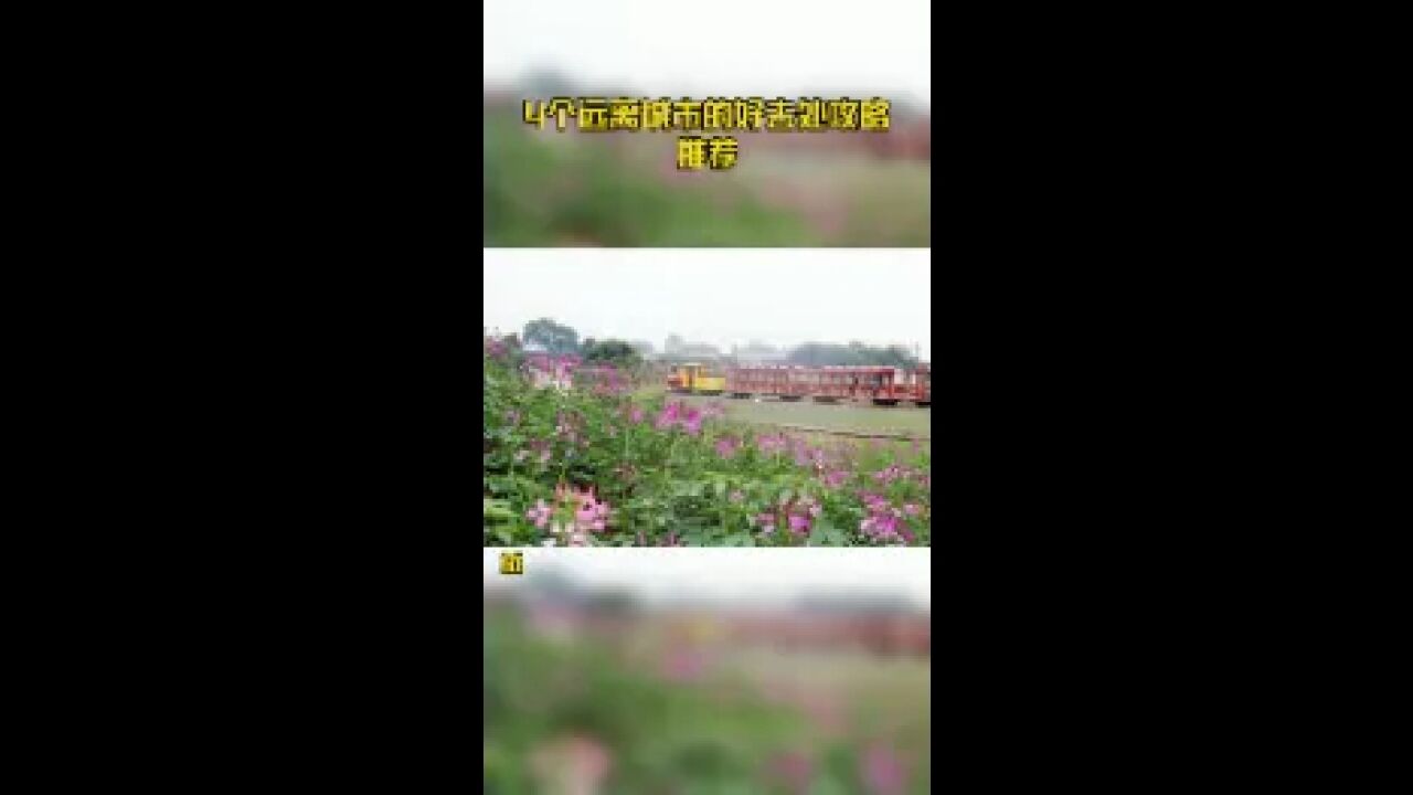 4个远离城市的好去处攻略推荐