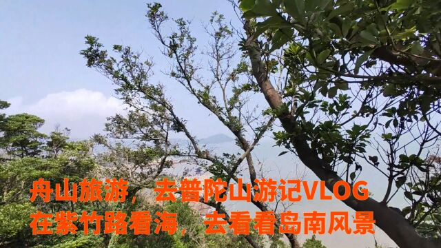 舟山旅游,去普陀山游记VLOG,在紫竹路看海,去看看岛南风景