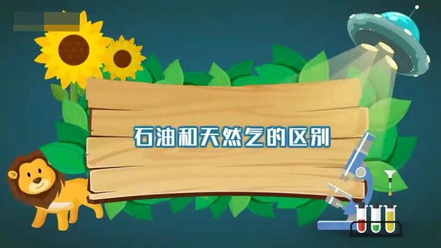 你知道天然气和石油有什么区别么?