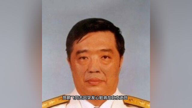 贺龙元帅之子