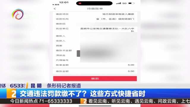 交通违法罚款缴不了?这些方式快捷省时