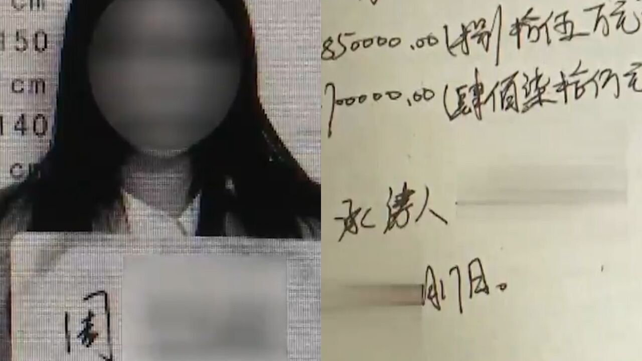 60岁男子包养26岁情人被骗2000多万致公司破产:她拿了钱和别人结婚生子