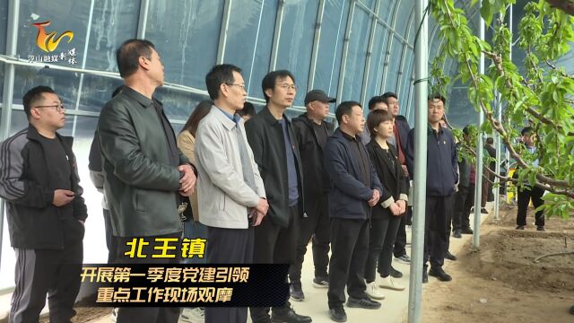 北王镇开展第一季度党建引领重点工作现场观摩