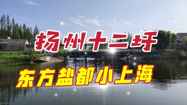 扬州十二圩,曾国藩亲选这里作为盐商总栈,被誉为东方盐都小上海