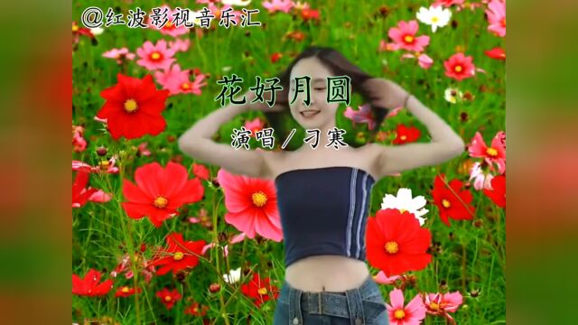 经典音乐《花好月圆》演唱:刁寒