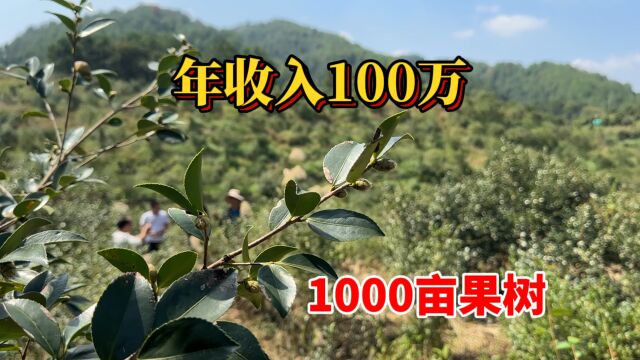 小伙承包1000亩山搞种植!全靠种这不起眼的果树,年收入100万