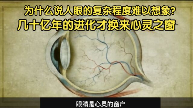 为什么说人眼的复杂程度难以想象?几十亿年的进化才换来心灵之窗