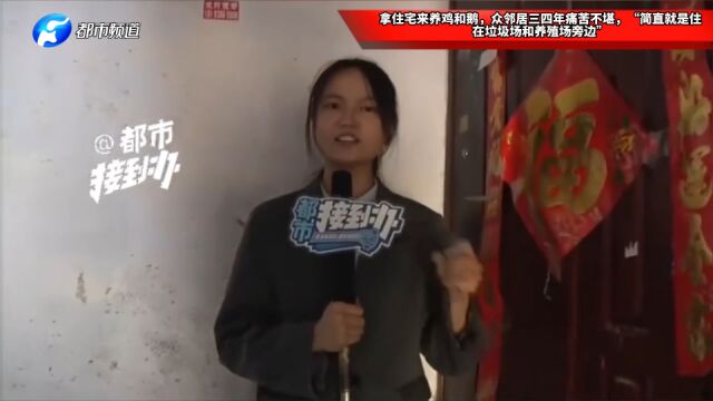 拿住宅来养鸡和鹅,众邻居三四年痛苦不堪,“简直就是住在垃圾场和养殖场旁边”